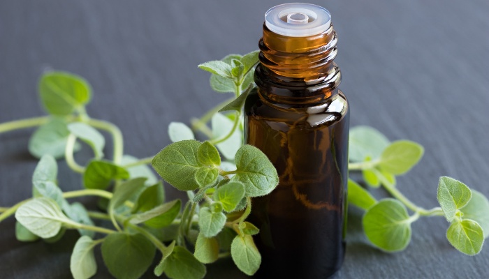 Fresh oregano leaves sitting beside a bottle of oregano essential oil on a table.
