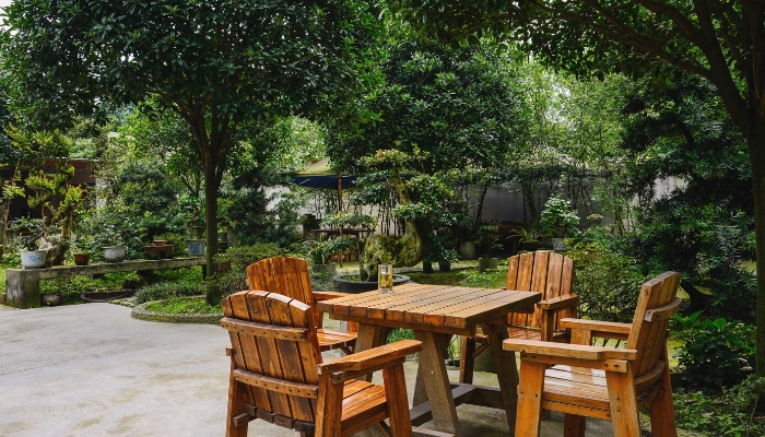 A backyard patio with a wooden table and chairs surrounded by shade trees.