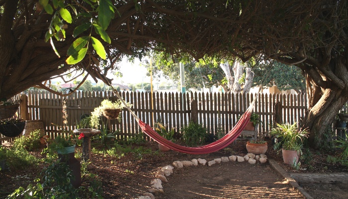 A shady backyard with a lined path and a relaxing hammock.