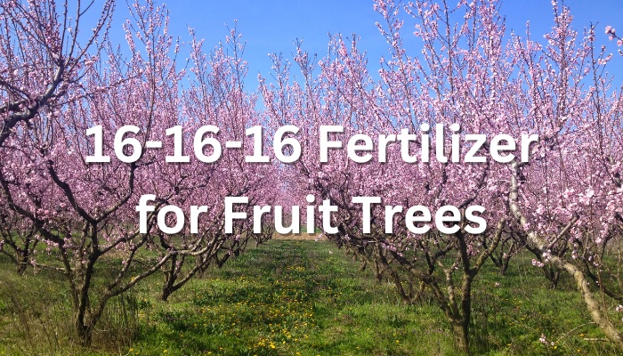 16-16-16 Fertilizer for Fruit Trees