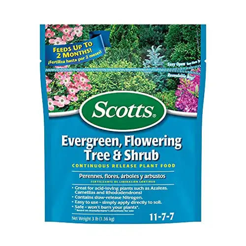 Scotts Evergreen Flowering Tree Food (3lbs)