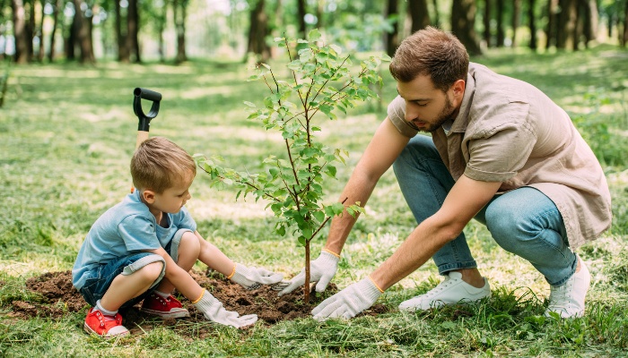 A father and his young son working together to plant a tree.