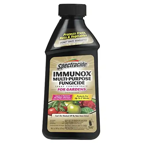 Spectracide Immunox Multi-Purpose Fungicide Spray Concentrate, 16oz