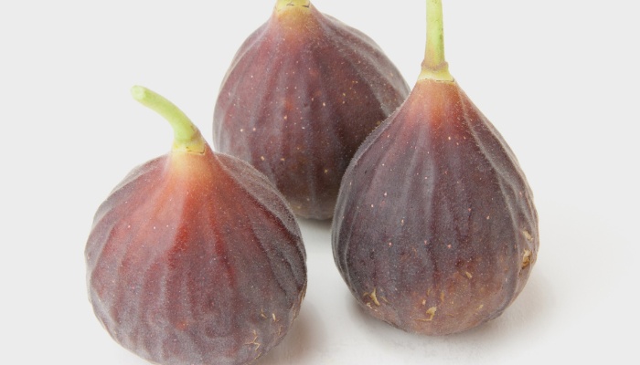 Three Chicago Hardy figs on gray background.